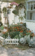 Moms (Julia (Judy) Kish Dorrough) Flowers